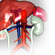 Urology Live CME events
