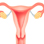 Cancer Primary Prevention: Cervical Cancer