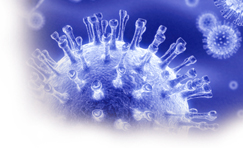 HIV Care for the Primary Care Physician
