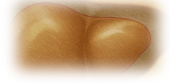Hepatitis C Management